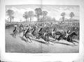 Old 1876 Colour Tattenham Corner Petrach Skylark Horses Jockeys Sport 19th