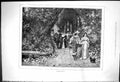 Original Old Antique Print 1876 Autumn Leaves Garden Scene Men Ladies Romance
