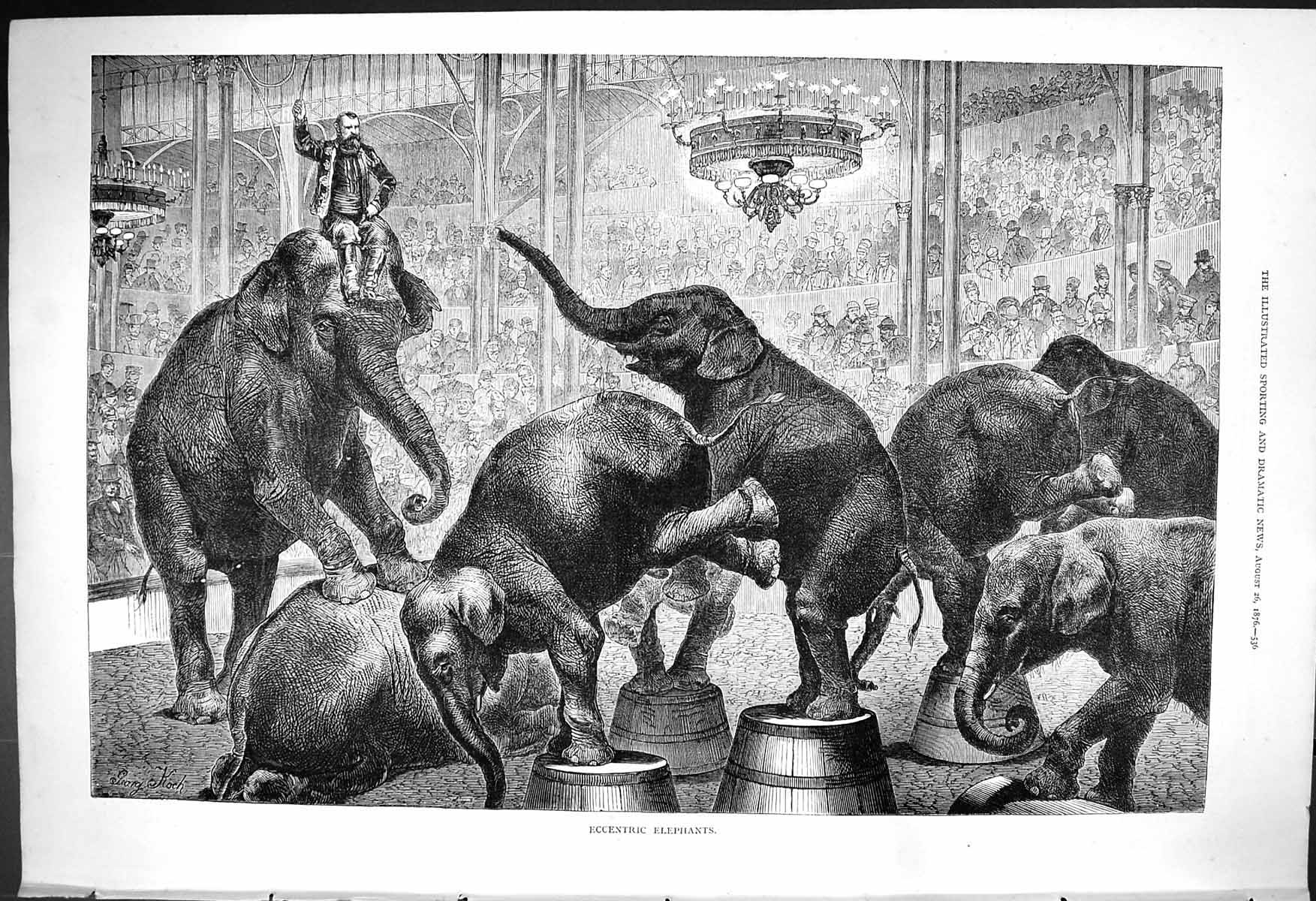 Original Old Antique Print 1876 Eccentric Performing Elephants Entertainment