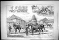 Old 1876 Stud Farm Edmund Tattersall Horses Knigh Patrick Titchborne Victorian