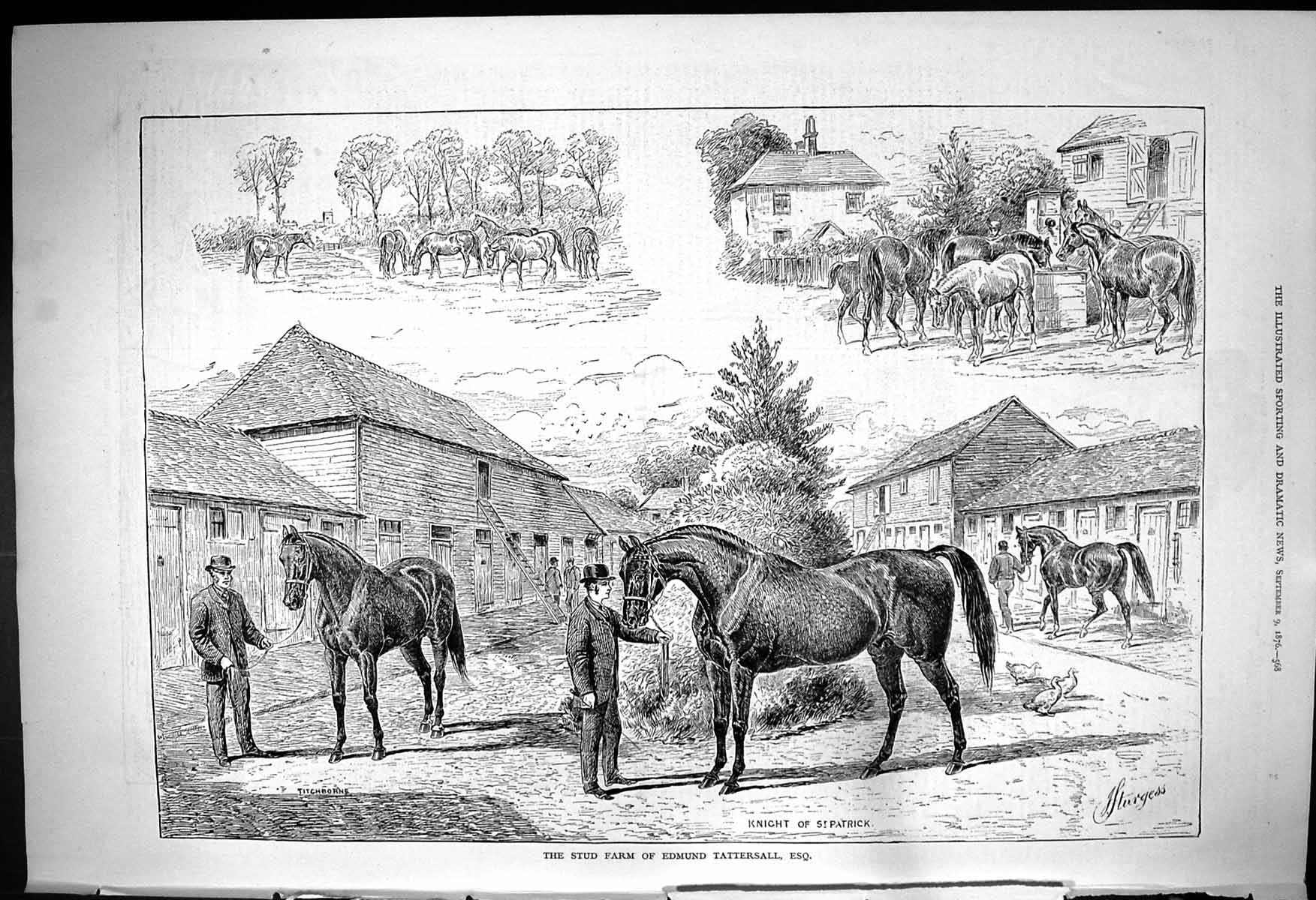 Old 1876 Stud Farm Edmund Tattersall Horses Knigh Patrick Titchborne Victorian