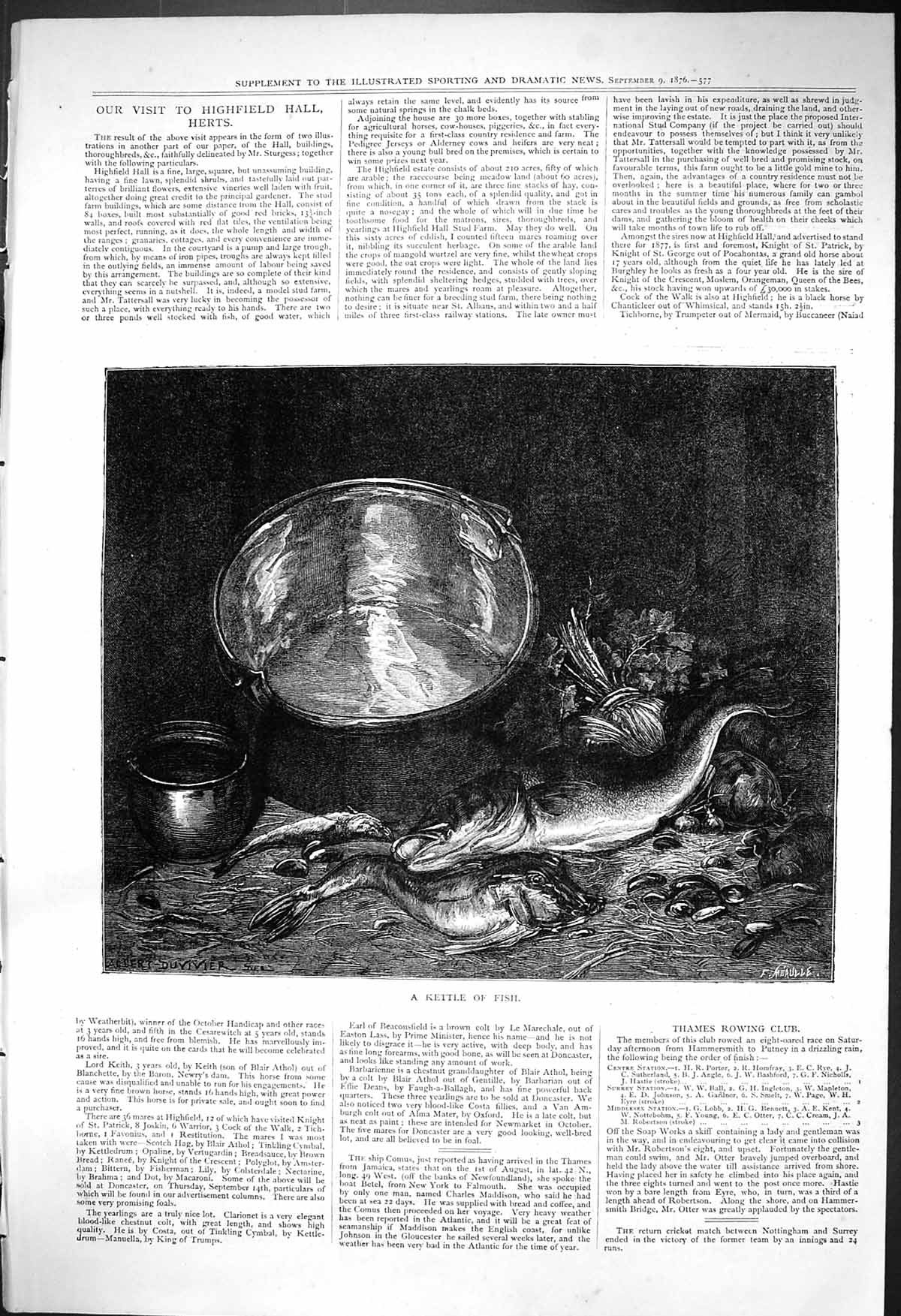 Original Old Antique Print 1876 Kettle Fish Albert Duvivier 19th