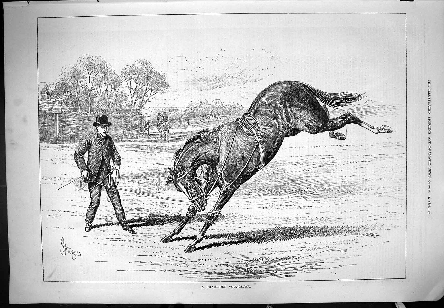 Old Antique Print Fractious Youngster Horse Animals Kicking 1876 Sturgess 19th