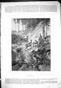 Old False Scent Deer Animals Hunting Sport Forest Outdoor Scene 1876 Victorian