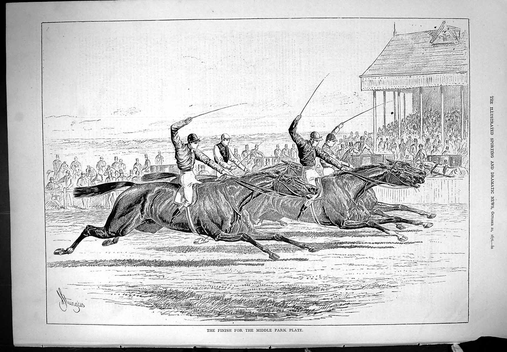 Old Antique Print Middle Park Plate Finish Horse Race Sport 1876 Sturgess 19th