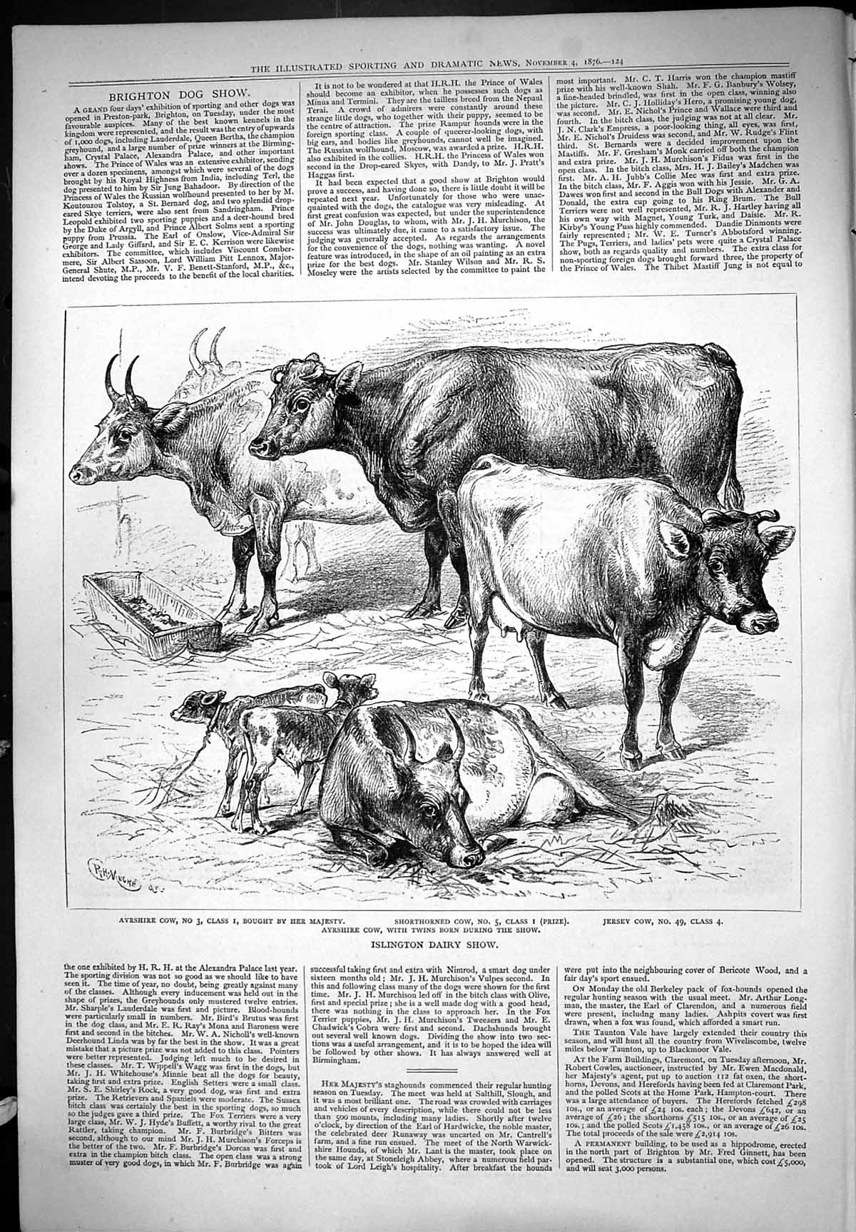 Old Islington Dairy Show Cattle Cows Ayrshire Calves Jersey 1876 Moor Victorian