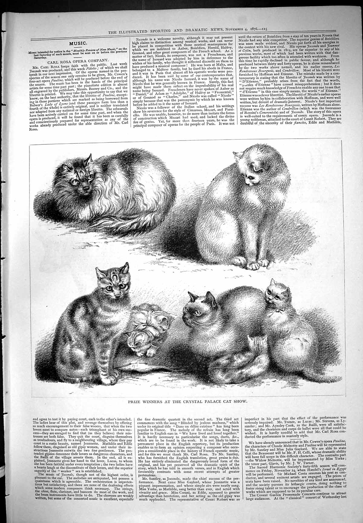 Original Old Antique Print Prize Winners Crystal Palace Cat Show Animals 1876