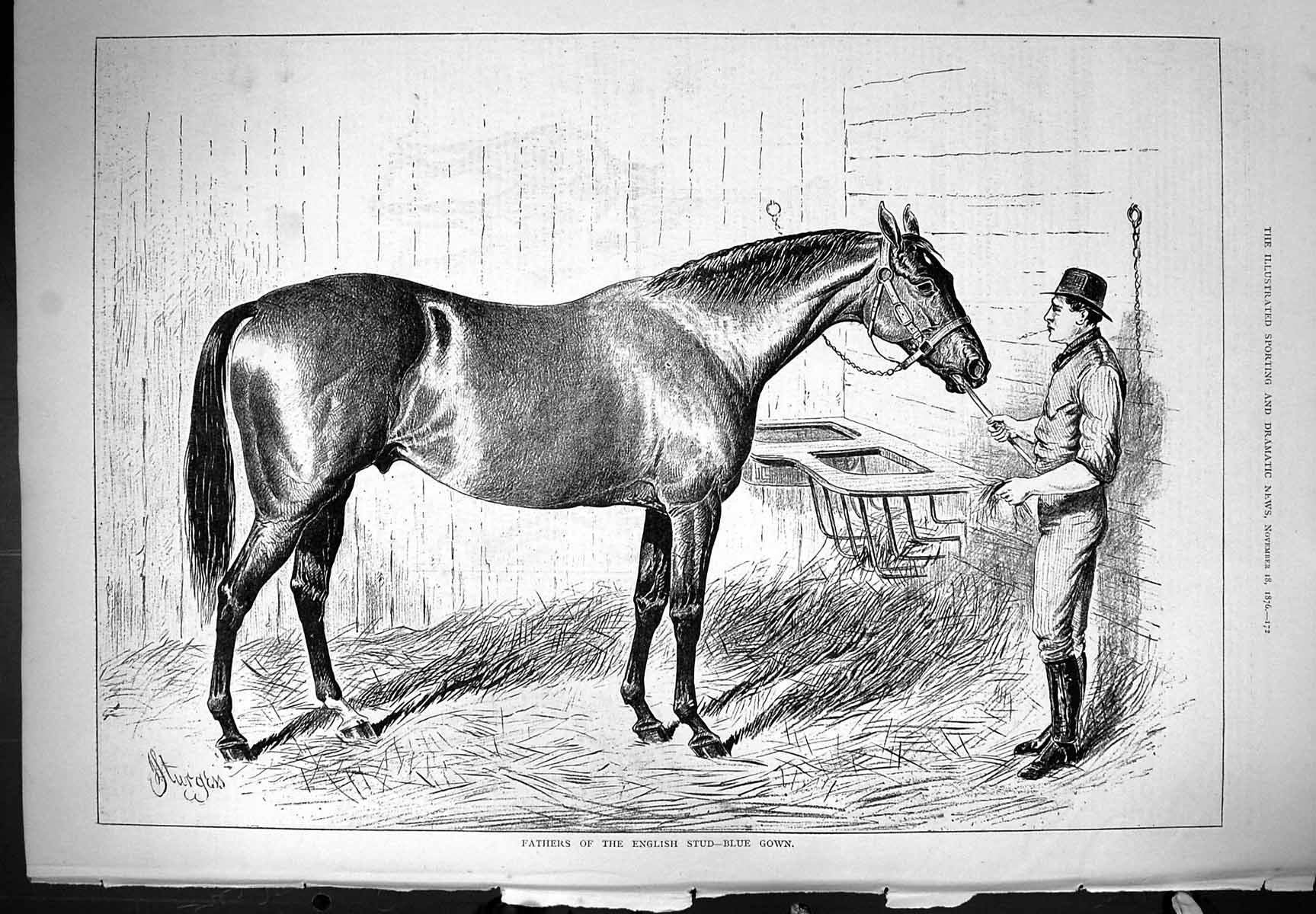 Antique Old Print Fathers English Stud Blue Gown Horse Animals 1876 Sturgess