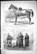 Old Colonel Kent Arab Charger Horse 1876 Sturgess Gaiety Theatre Scen Victorian
