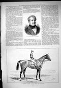 Old Clerk Frail Barbiere Horse Queen Cup Winner Seville Sturgess 1877 Victorian