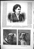 Old Mrs Lane Beautiful Woman Portrait Dogs Pets Somebody Coming 1877 Victorian