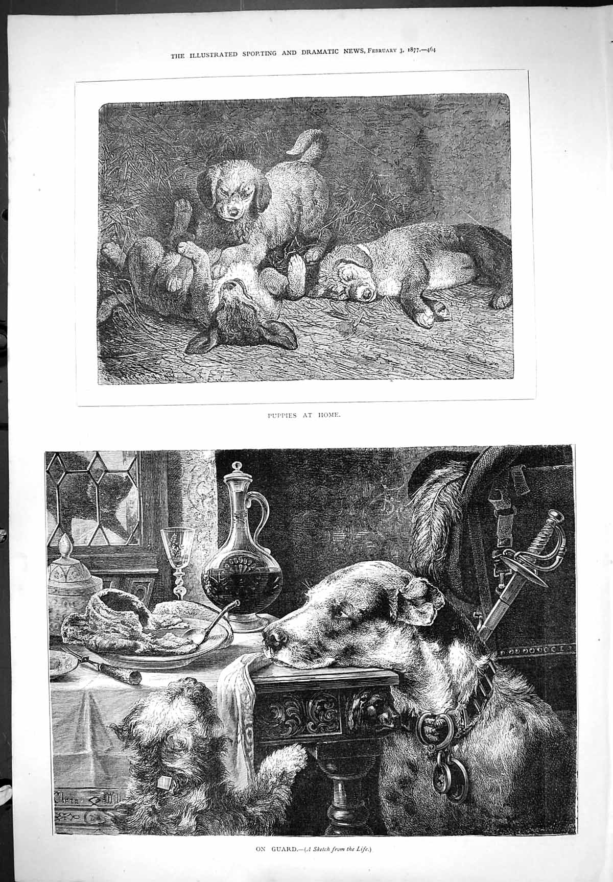 Original Old Antique Print 1877 Puppies At Home Dogs Pets Animals On Guard 19th