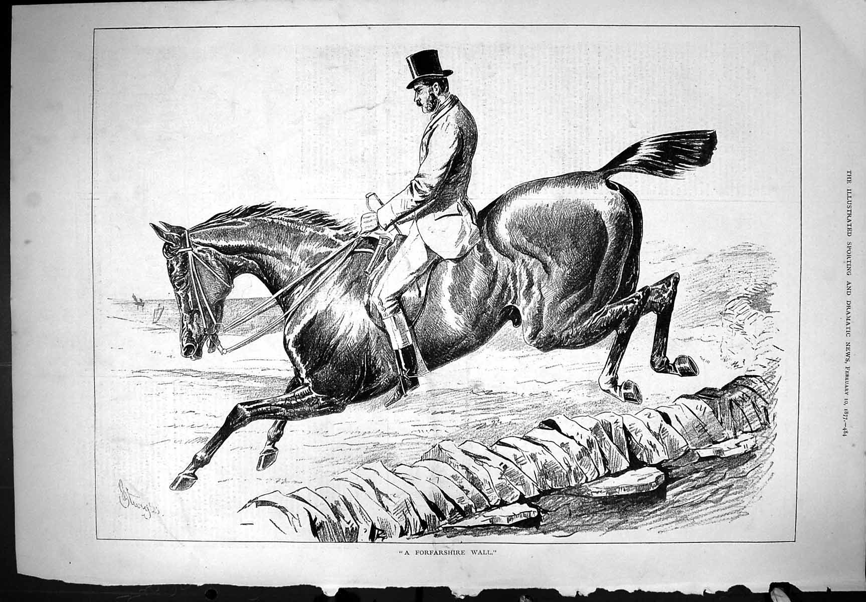 Original Old Antique Print 1877 Forfarshire Wall Horse Jumping Sport Sturgess