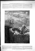 Original Old Antique Print After The Fight Stags Animals Outdoor Scene 1877