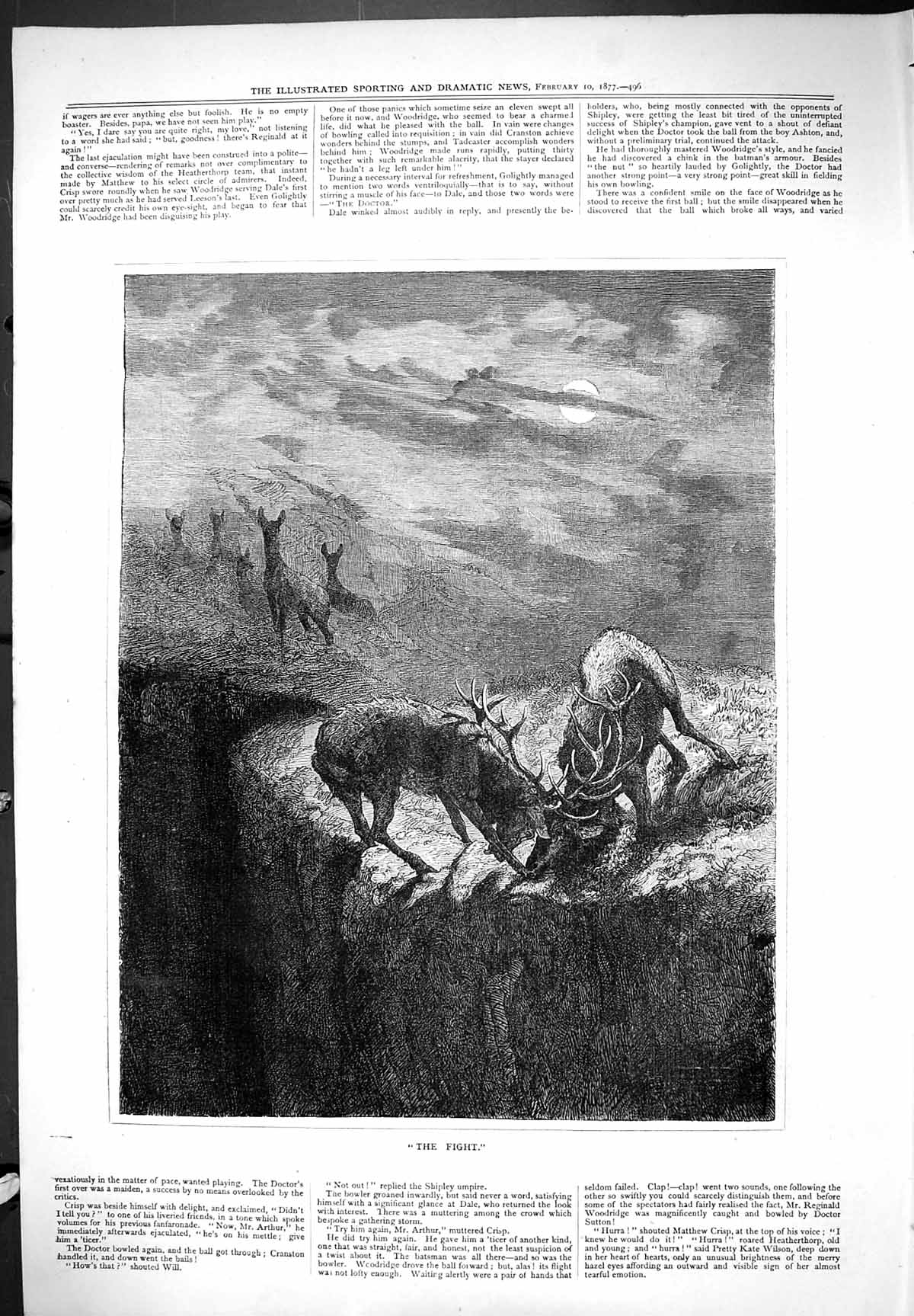 Original Old Antique Print After The Fight Stags Animals Outdoor Scene 1877