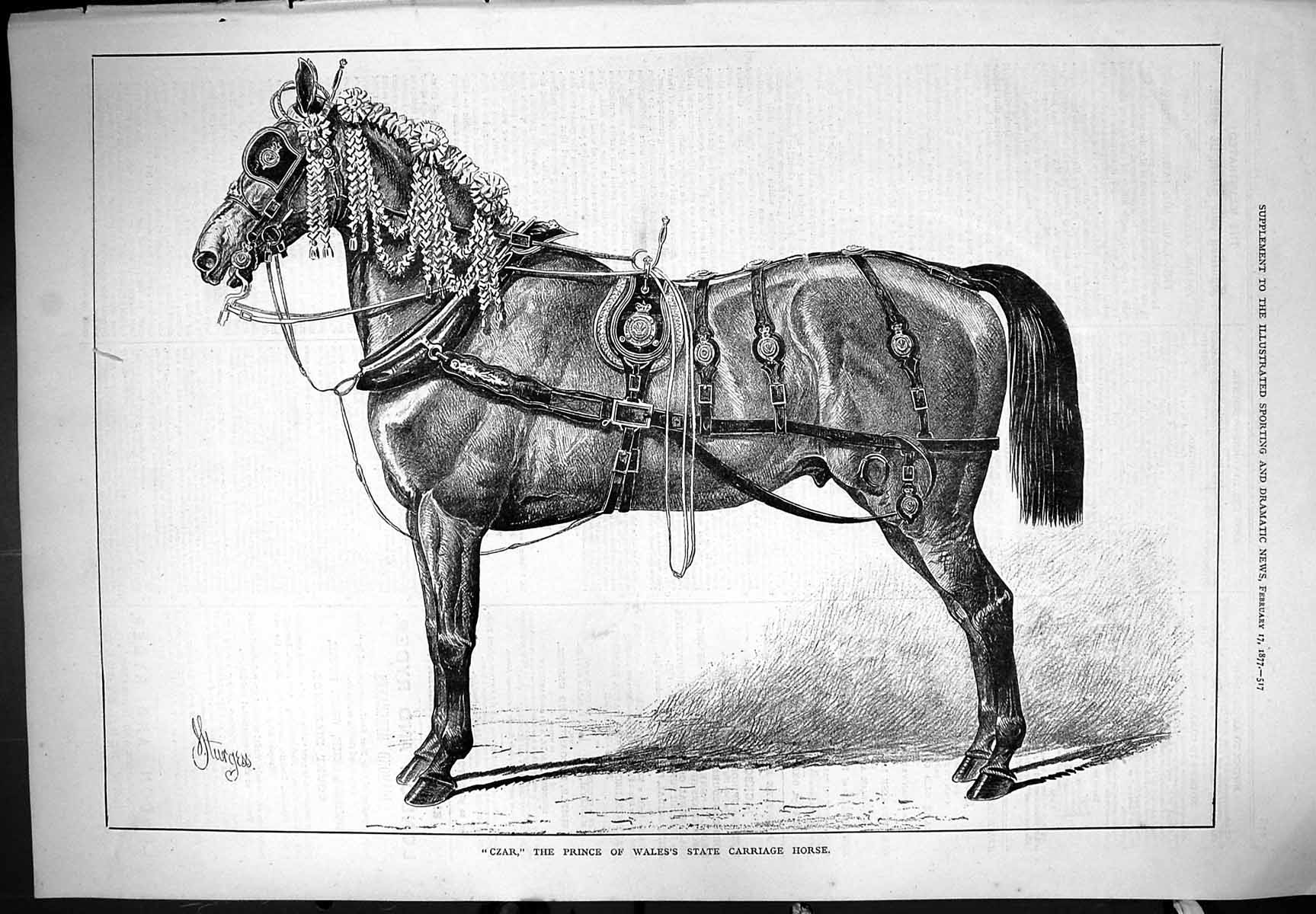 Original Old Antique Print 1877 Czar Prince Wales State Carriage Horse Sturgess