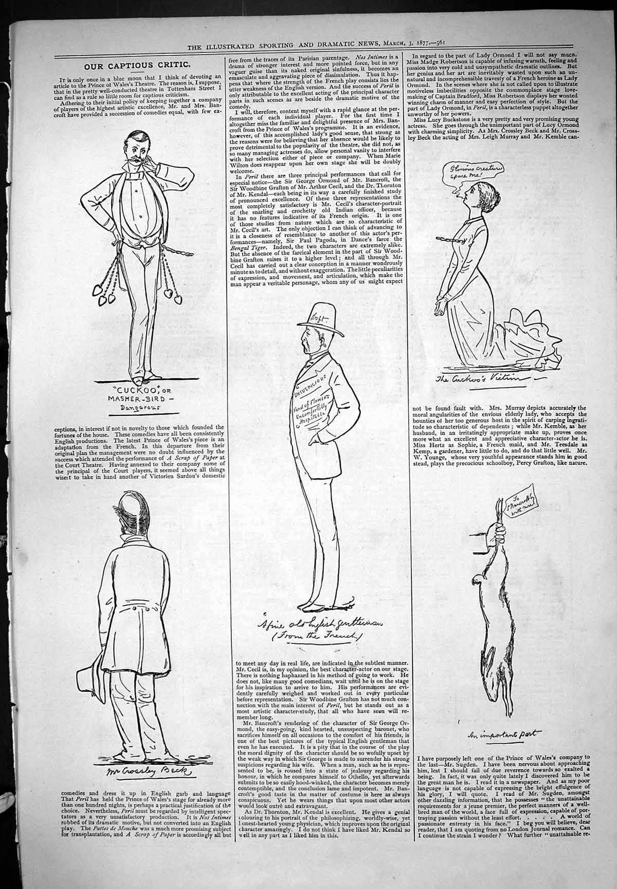 Old Theatre Captious Critic 1877 Cuckoo Victim English Gentleman Beck Victorian