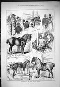 Old Antique Print 1877 Glasgow Horse Show Sketches Darnley Ioanhoe Moore 19th