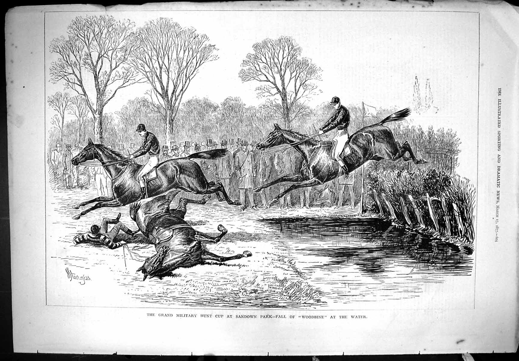 Old Grand Military Hunt Cup Sandown Park 1877 Woodbine Fall Sturgess Victorian