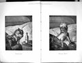 Original Old Antique Print Shamming Sick Dog Animals Pets Unwell 1876 Thayer