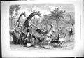 Antique Old Print 1877 Zoological Airing Animals Giraffe Emu Birds Elephant