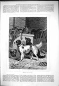 Original Old Antique Print 1877 Waiting For Word Hunting Dogs Kennel Scene 19th