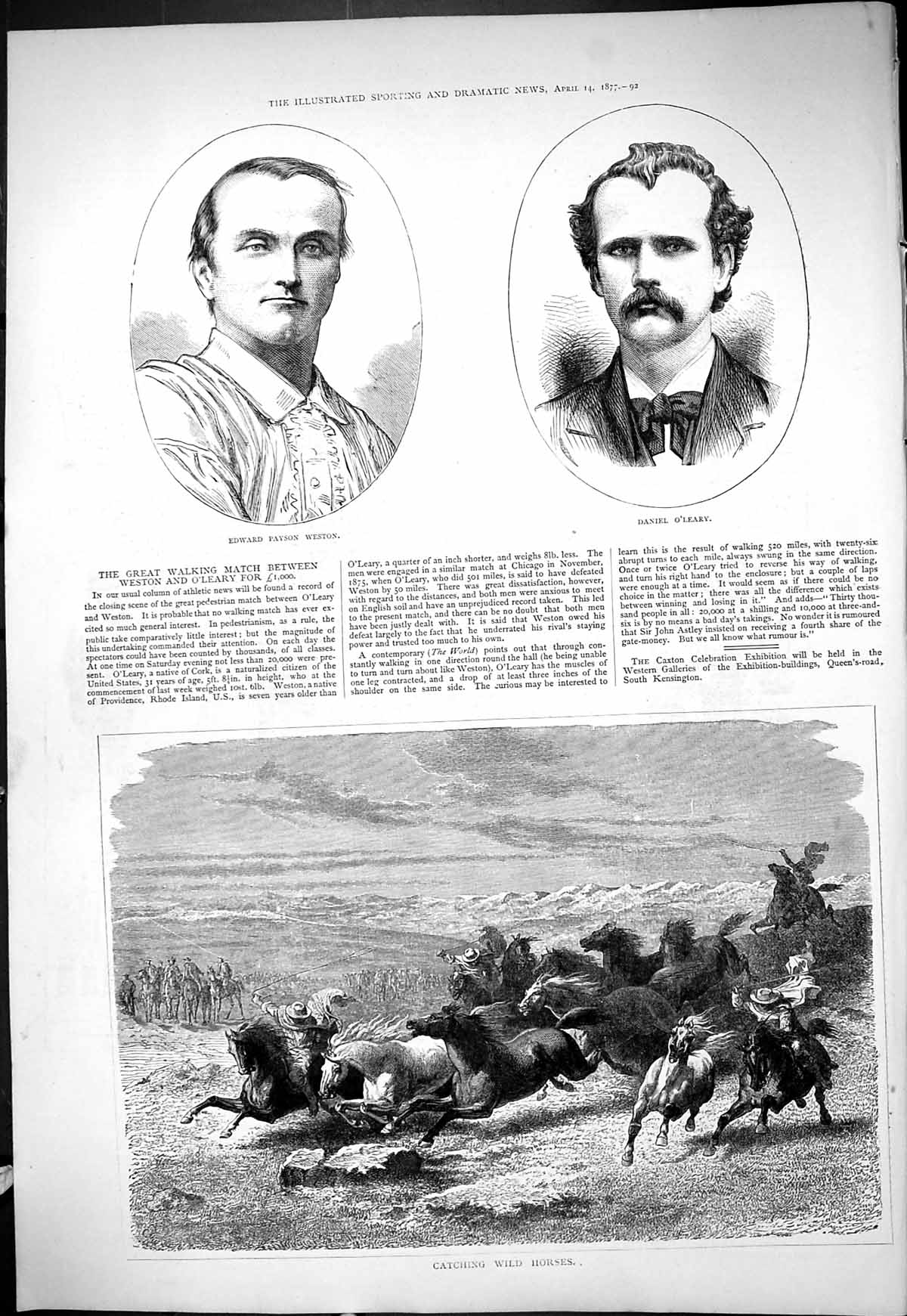 Old 1877 Portrait Edward Payson Weston Daniel O'Leary Catching Wild H Victorian