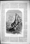 Original Old Antique Print 1877 Giraffe Hunting Shooting South Africa Sport