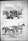 Old Netting Fish River Thames Teddington 1877 Horses Julius Caesar Jo Victorian