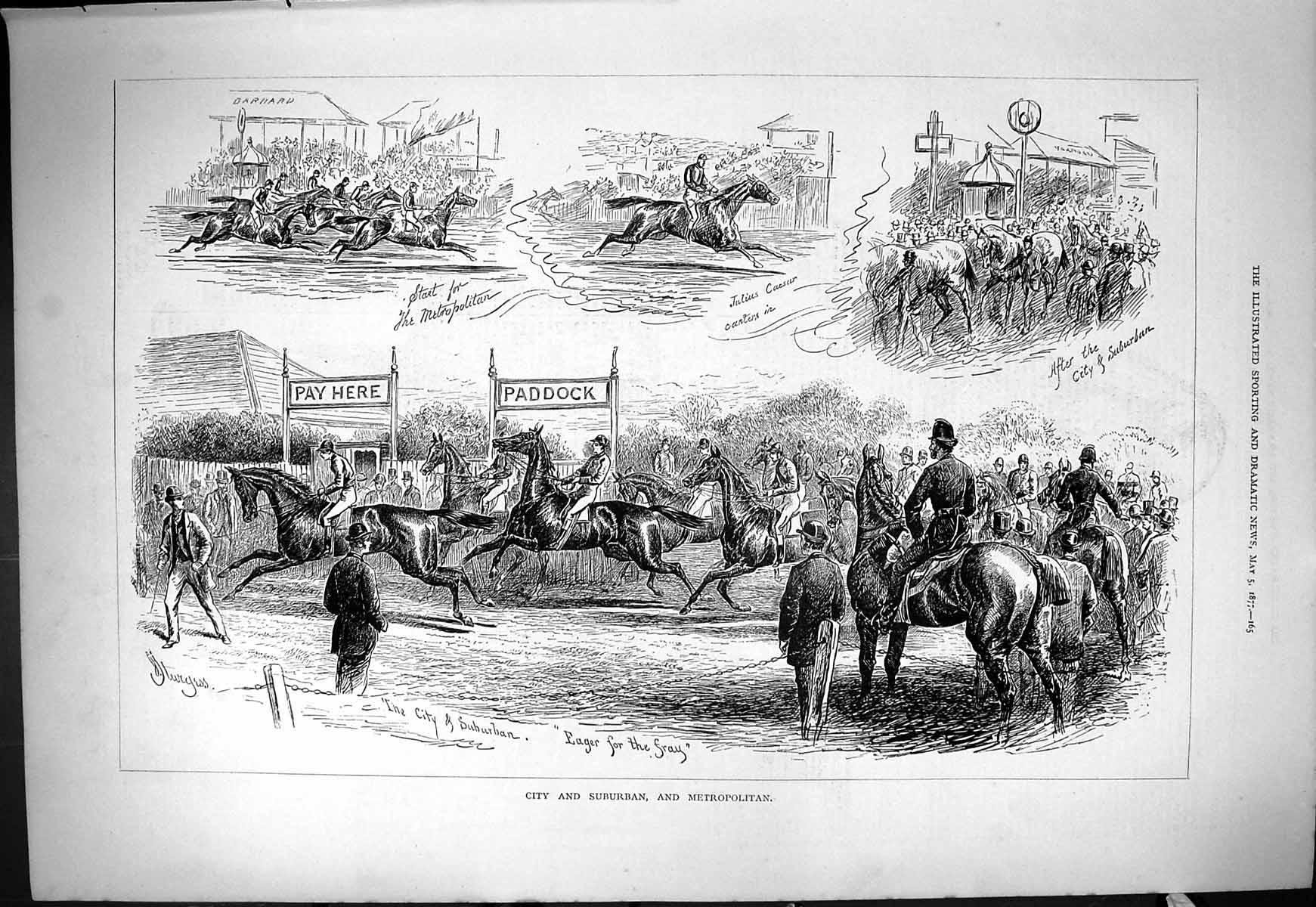 Old 1877 City Suburban Metropolitan Horse Racing Sport Paddock Jockey Victorian