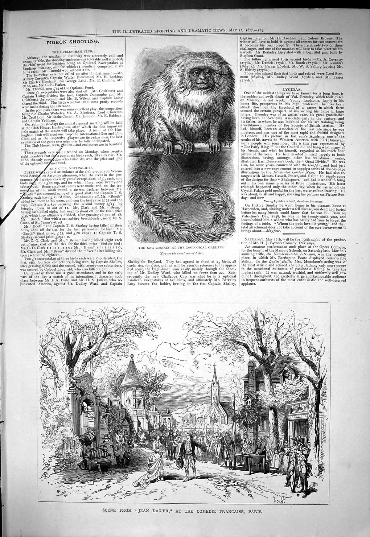 Old 1877 Monkey Zoological Gardens Scene Jean Dacier Comedie Francais Victorian