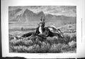 Old Antique Print 1877 Hunting Antelope Mountains Scene Hounds Dogs Sport 19th