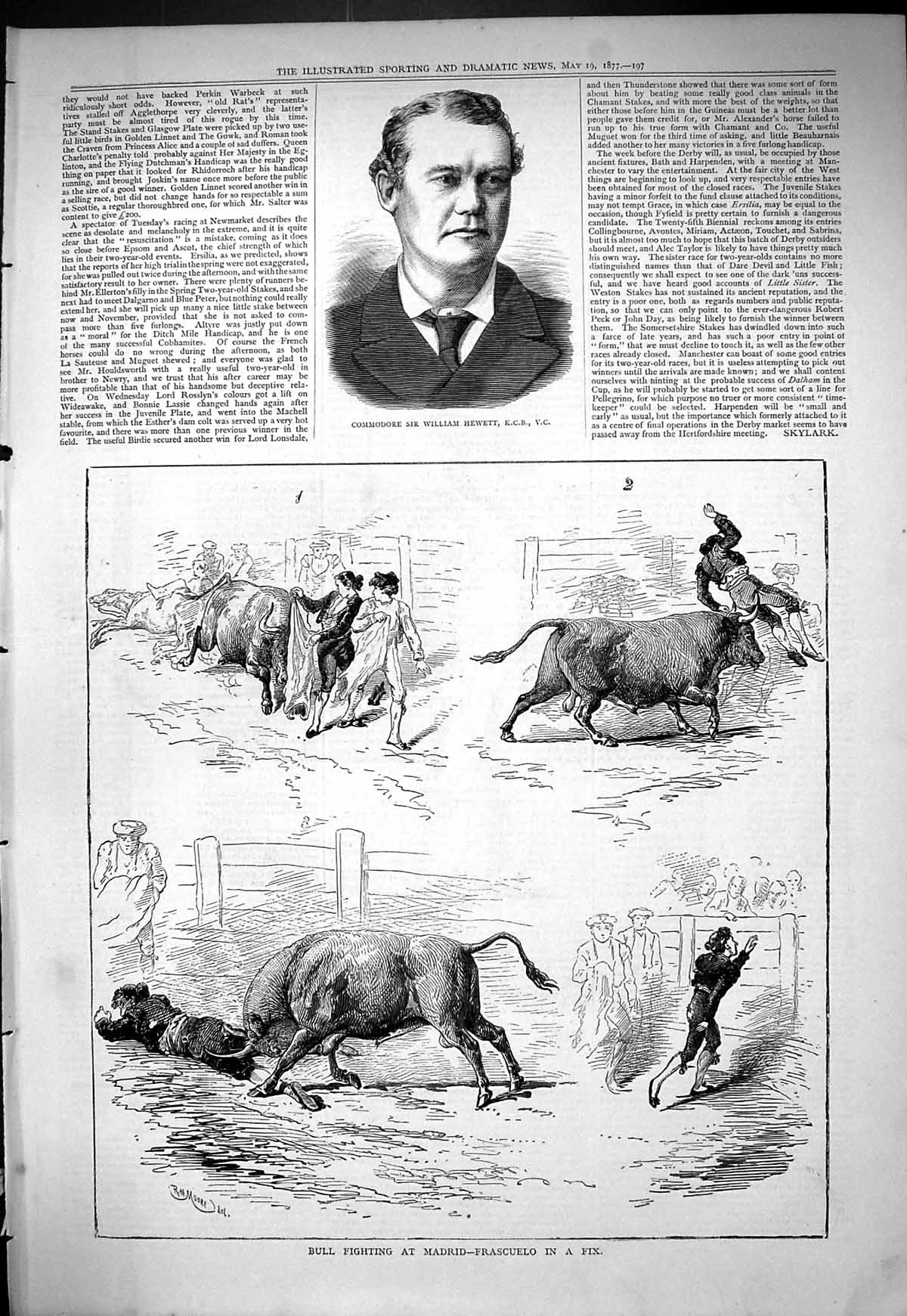 Old 1877 Commodore William Hewett Bull Fighting Madrid Spain Frascuel Victorian