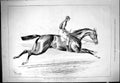 Antique Old Print 1877 Horse Racing Winner Two Thousand Stakes Chamant Jockey