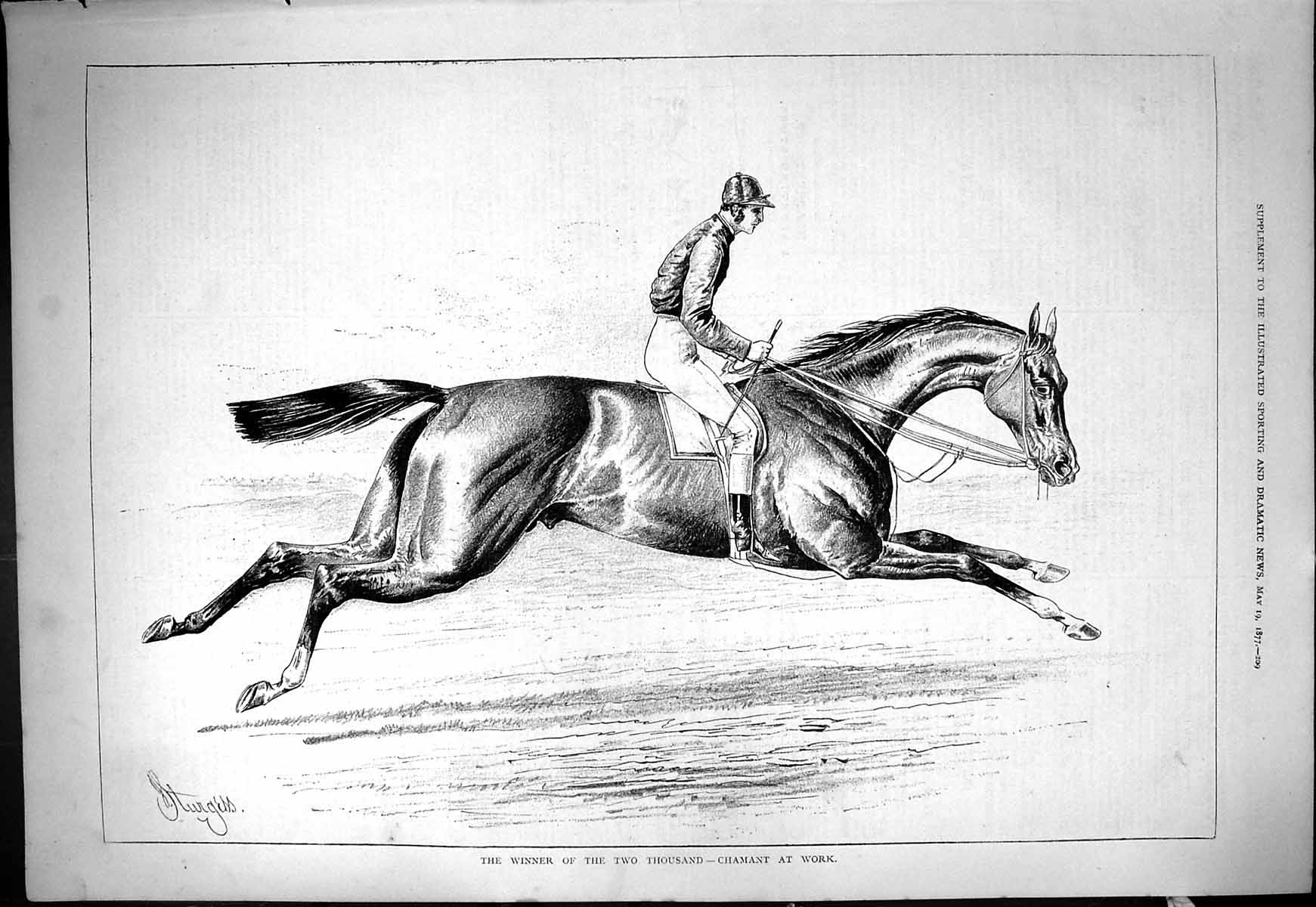 Antique Old Print 1877 Horse Racing Winner Two Thousand Stakes Chamant Jockey