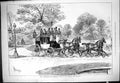 Old 1877 Twickenham Richmond Coach Orleans Club Grounds Transport Hor Victorian
