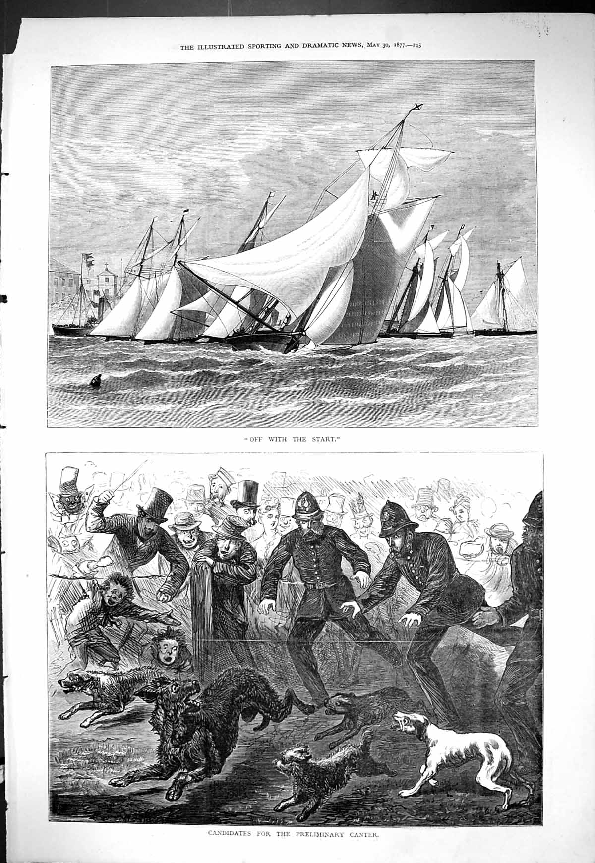 Old 1877 Start Yacht Race Police Runnaway Dogs Candidates Preliminary Victorian