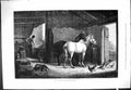 Old 1877 Village Blacksmith Forge Smithy Horse Shoes Chickens Fine Ar Victorian