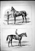 Antique Old Print 1877 Horse Racing Silvio Winner Derby Placida Oaks Sport 19th