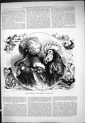 Old 1877 Prize Winners Banbury Poultry Show Birds Hens Chickens Moore Victorian