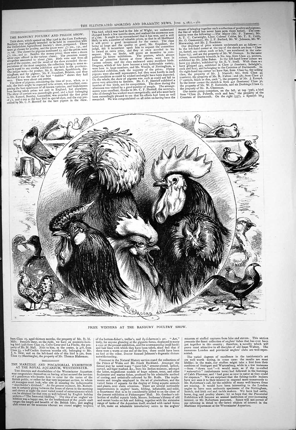 Old 1877 Prize Winners Banbury Poultry Show Birds Hens Chickens Moore Victorian