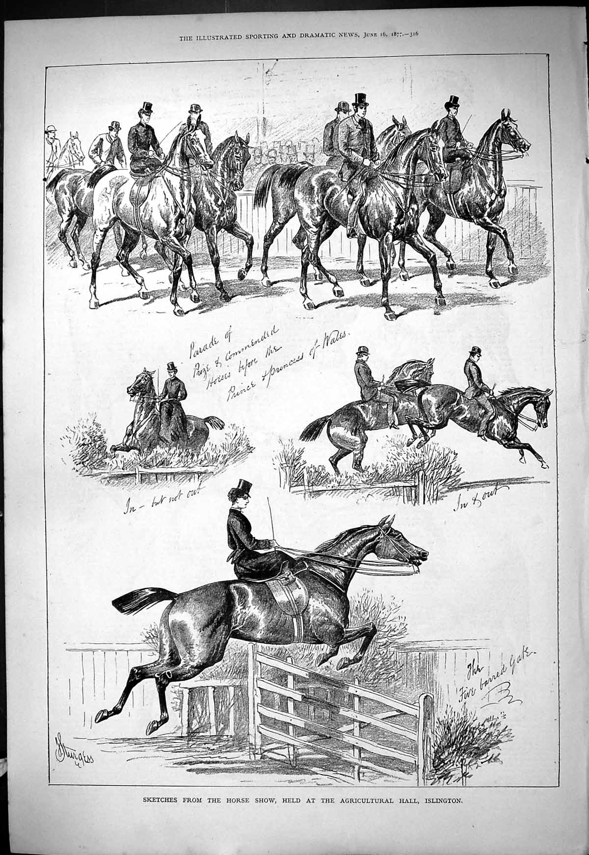 Old 1877 Horse Show Agricultural Hall Islington Parade Princess Wales Victorian