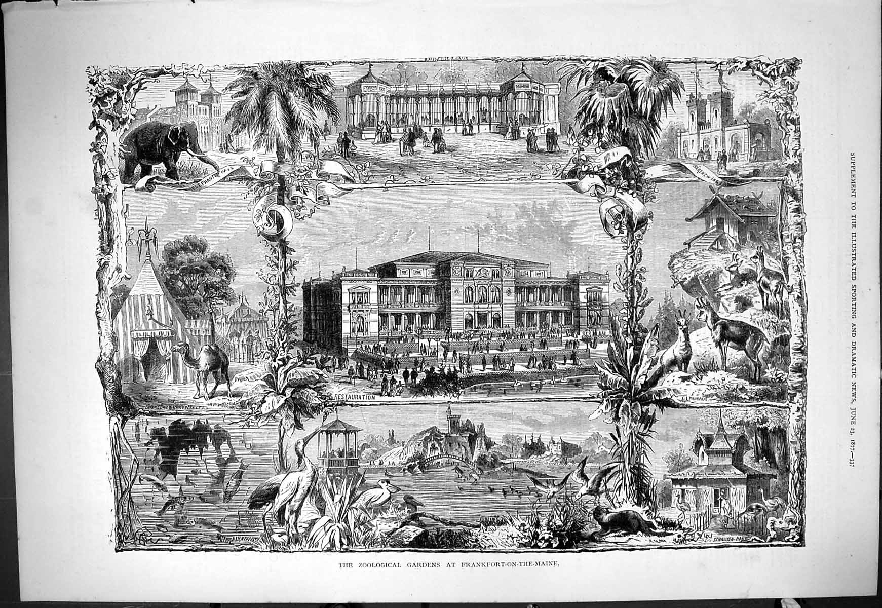 Original Old Antique Print 1877 Zoological Gardens Frankfort-On-The-Maine 19th
