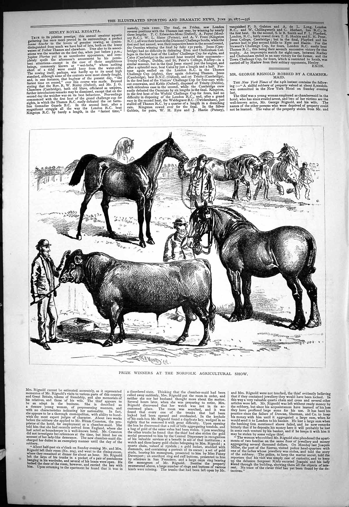 Old 1877 Prize Winners Norfolk Agricultural Show Horses Bull Animals Victorian