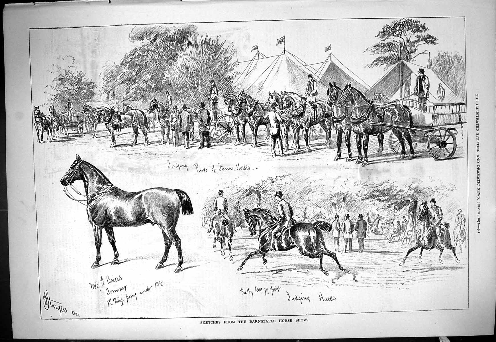 Original Old Antique Print 1877 Barnstaple Horse Show Tommy Judging Hacks Farm