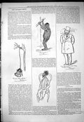 Original Old Antique Print 1877 Captious Theatre Critic Monkey Shakspeare 19th