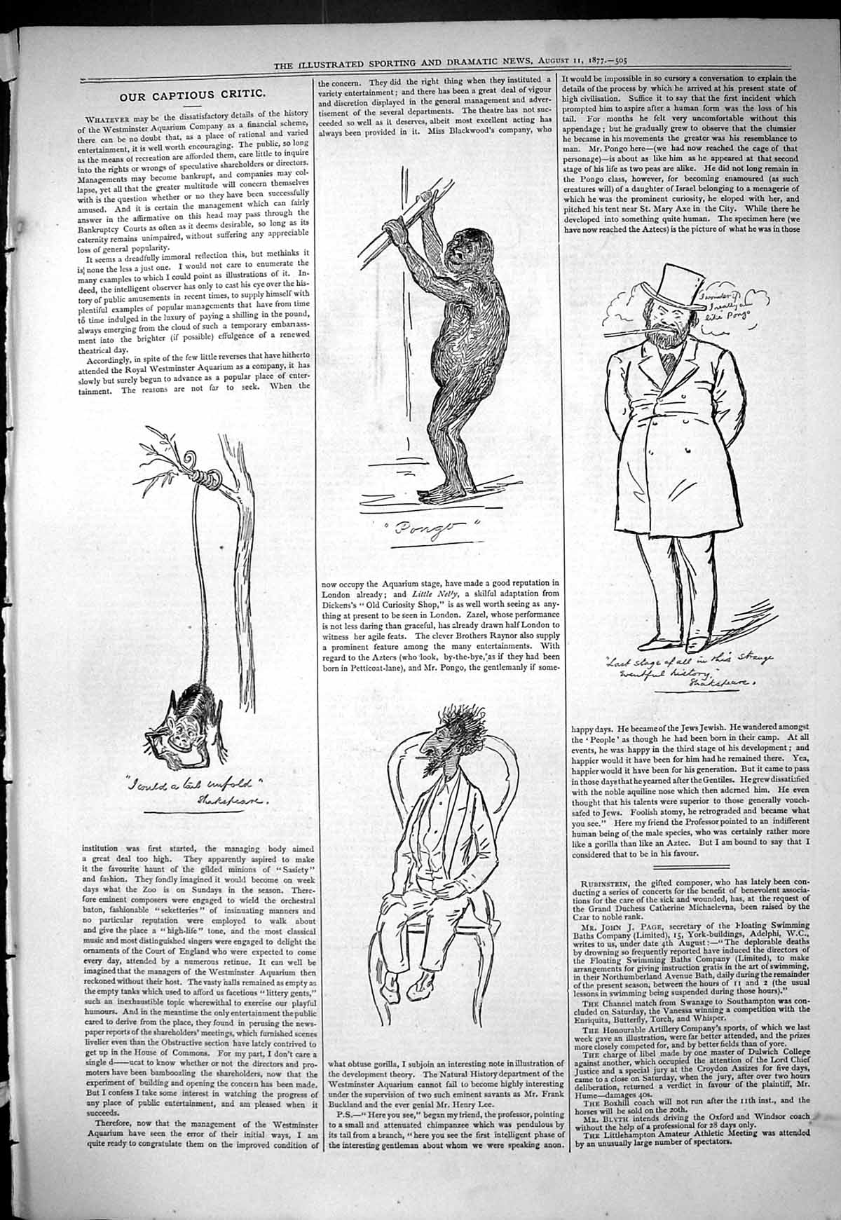 Original Old Antique Print 1877 Captious Theatre Critic Monkey Shakspeare 19th