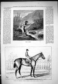 Old Trout Fishing River 1877 Zoo-Zoo American Crack Winner Sequel Sar Victorian