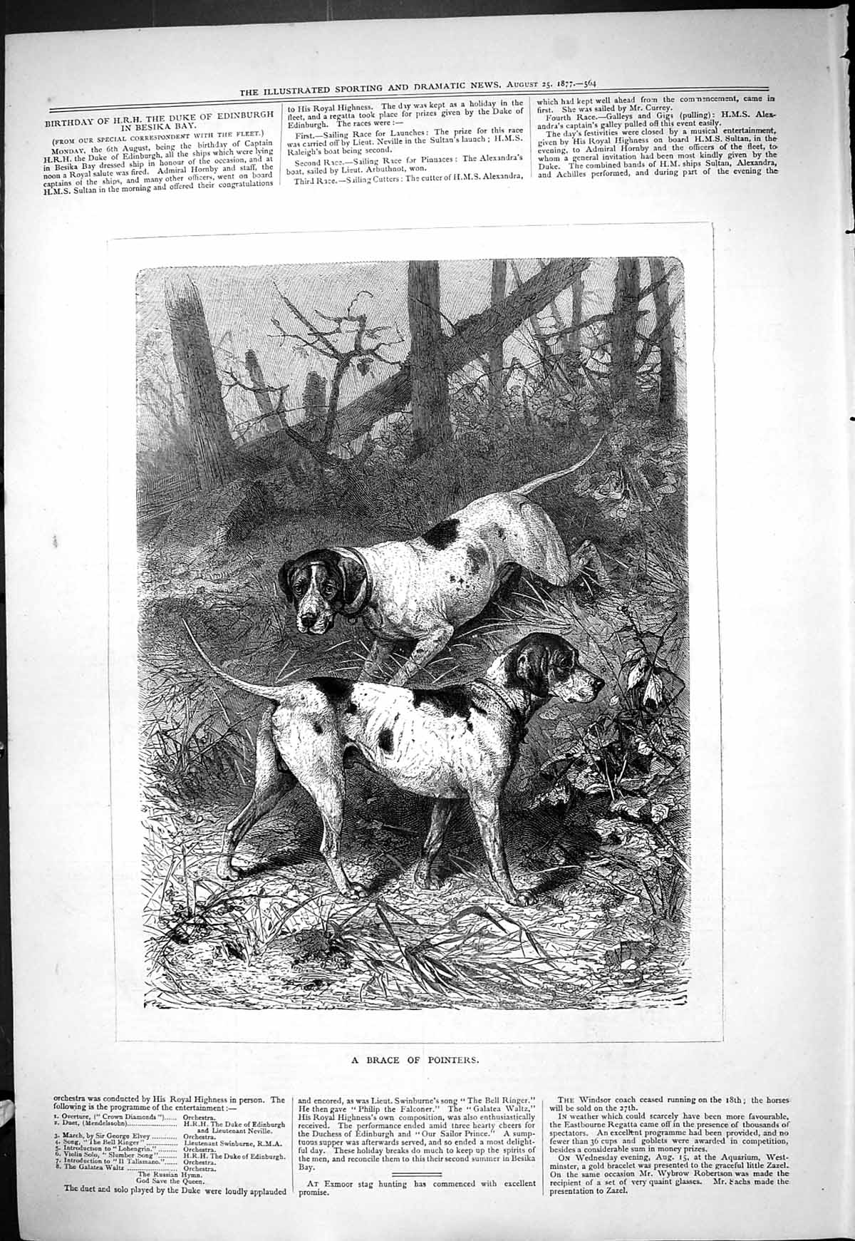 Original Old Antique Print 1877 Brace Pointers Hounds Dogs 19th