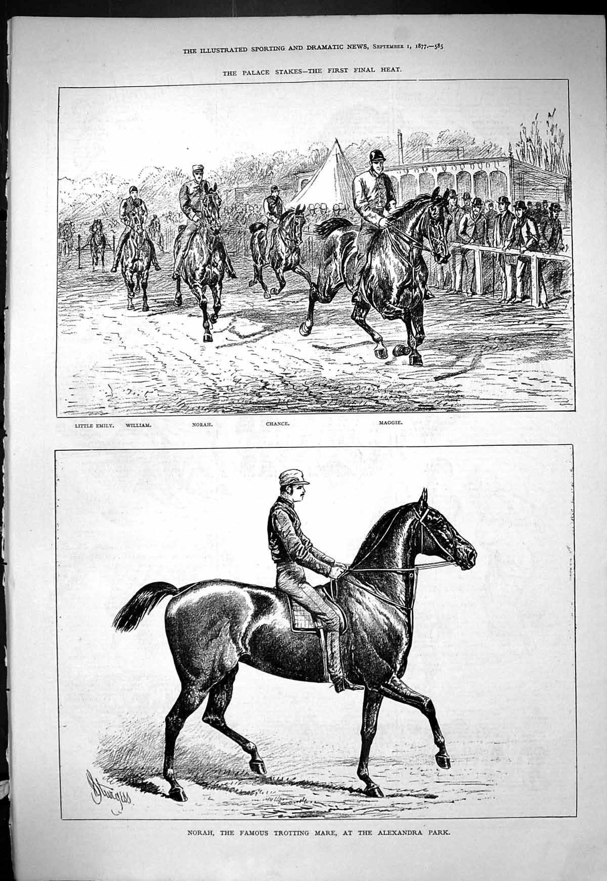 Old 1877 Norah Trotting Mare Horse Alexandra Palace Stakes Chance Mag Victorian